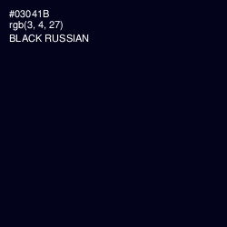 #03041B - Black Russian Color Image